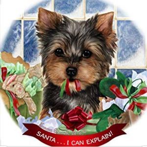 Meet your Posher, Kris